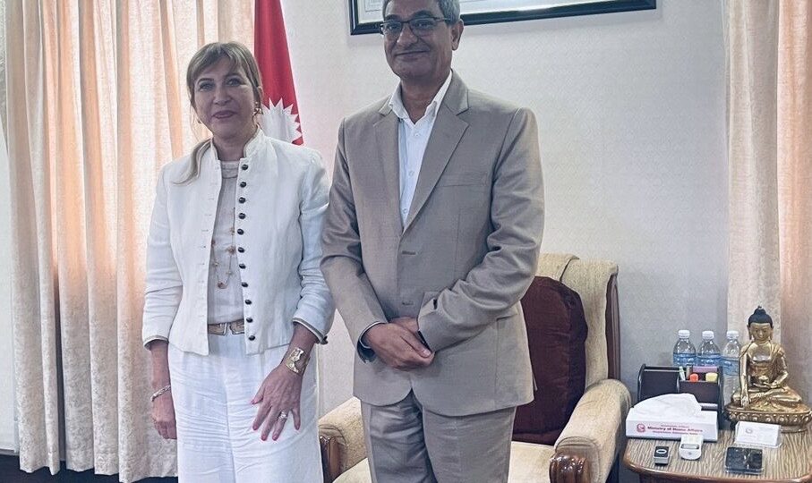 गृहमन्त्री लेखक र संयोजक हाम्दीबीच भेट