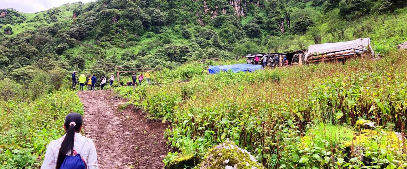 ‘पर्यटक बढेपछि गोठमै आम्दानी’