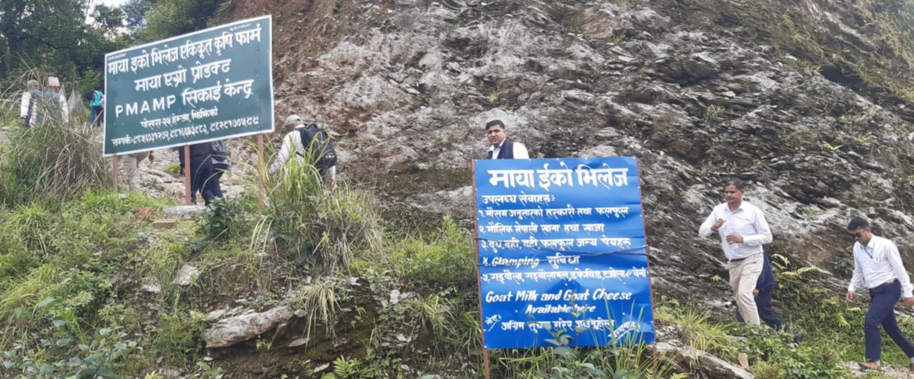 कृषि सिकाइको पाठशाला बन्दै ‘माया इको भिलेज एकीकृत कृषि फार्म’