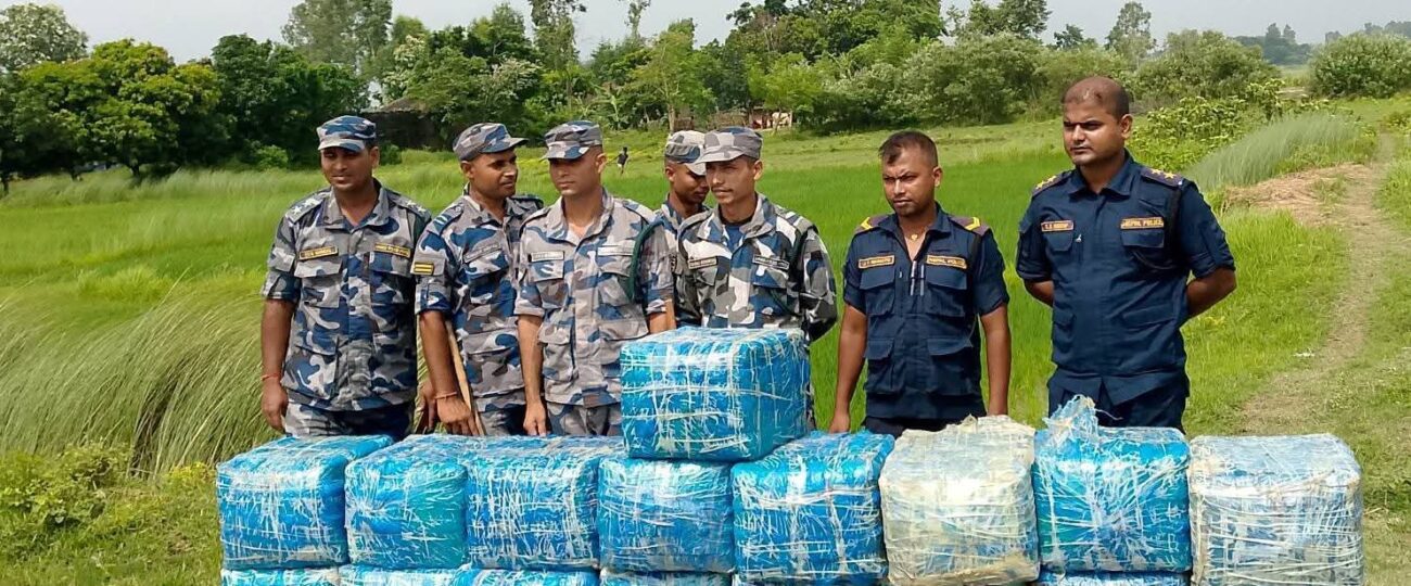 सप्तरीको पातोबाट ३९६ किलो गाँजा बरामद