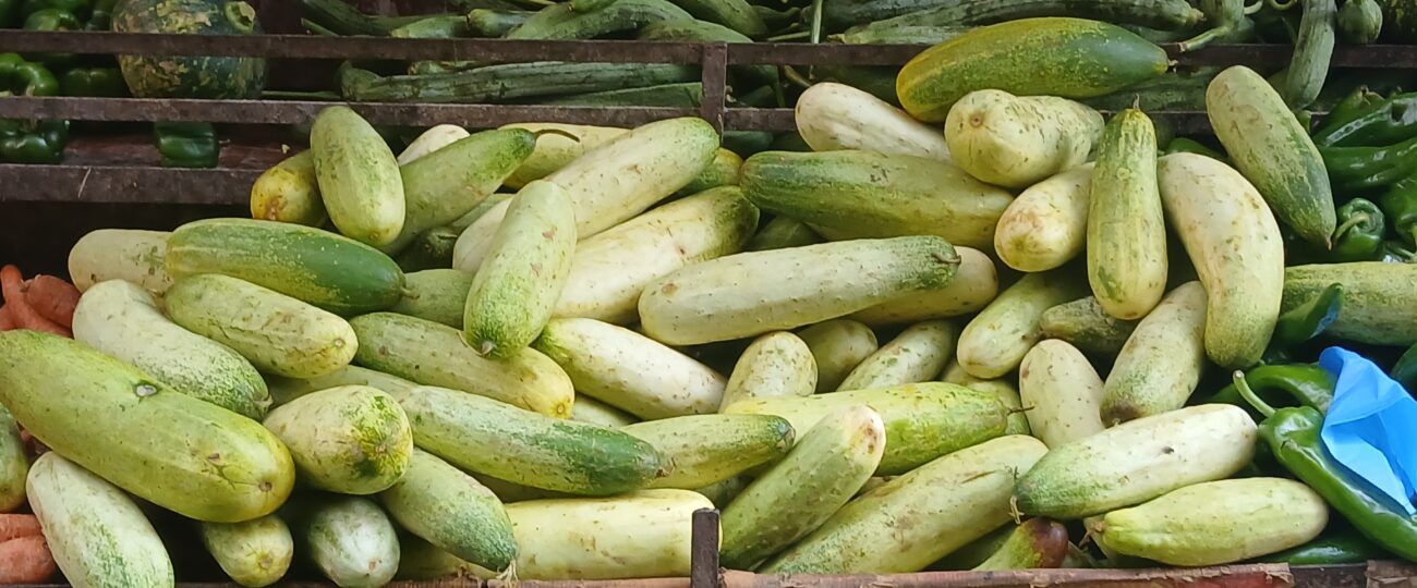 काँक्रोले दक्षिण धादिङका किसान निराश