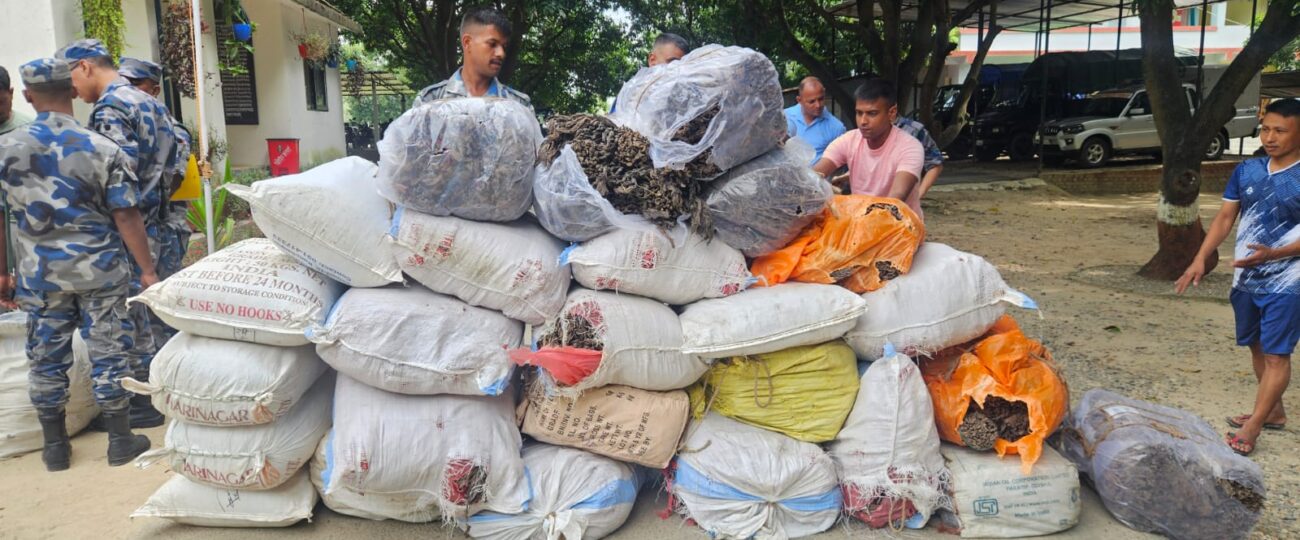सशस्त्र प्रहरी बल रौतहटद्वारा ३० बोरा सुर्ती बरामद