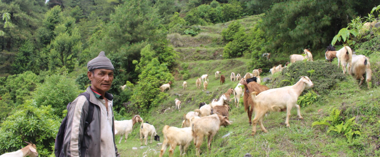 ‘बाख्रापालनबाट मिल्यो सफलता’