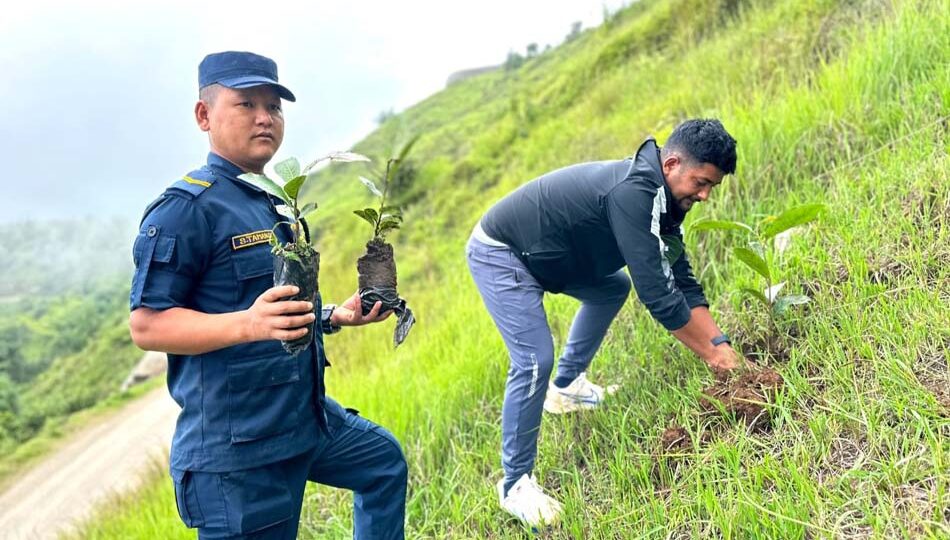 किरात ऐतिहासिकस्थल ‘तुवाचुङ–जायजुम’ लाई हराभरा बनाउन वृक्षरोपण