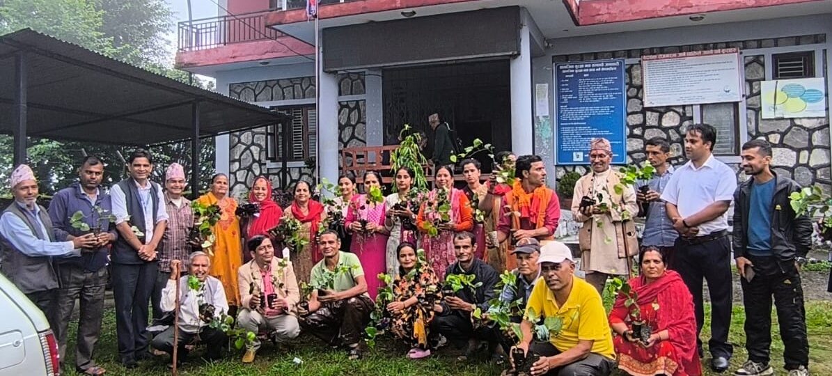 मरिचखेती प्रवर्द्धन गर्दै पोखरा महानगर