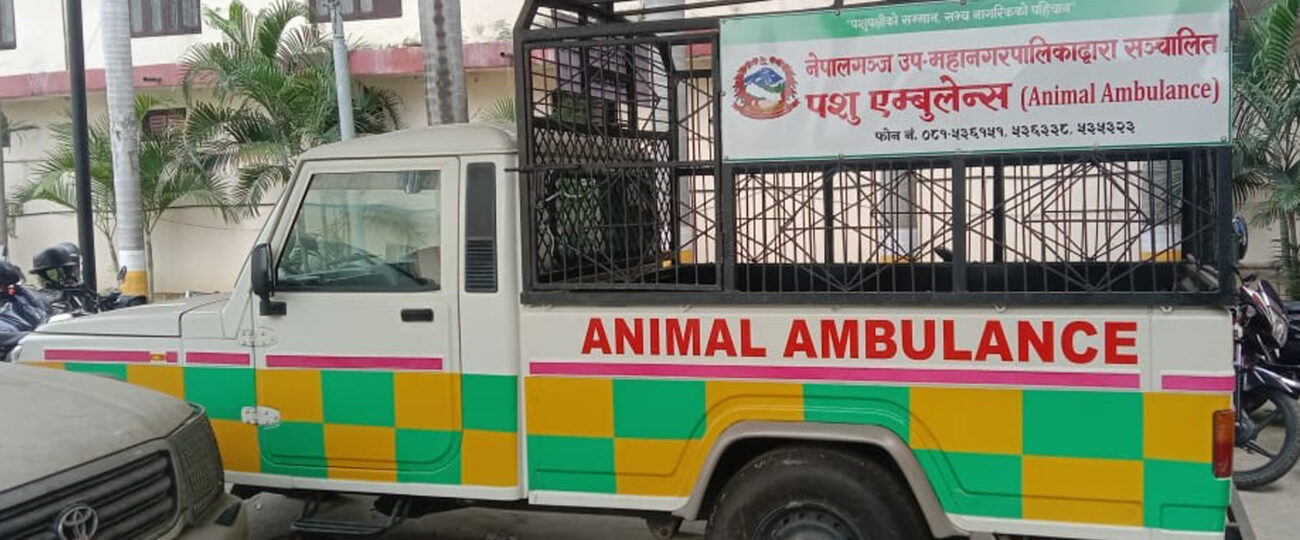 नेपालगञ्जमा ‘एनिमल एम्बुलेन्स’ सञ्चालन
