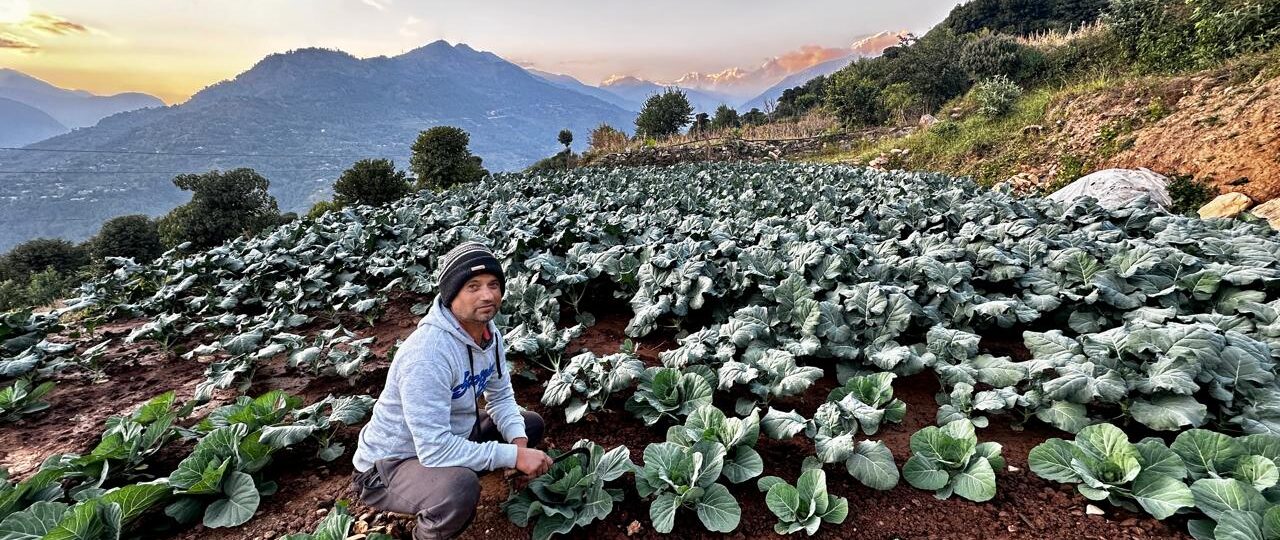 तीन दशकपछि गाउँ फर्किएर तरकारी खेतीमा रमाउँदै कमलप्रसाद