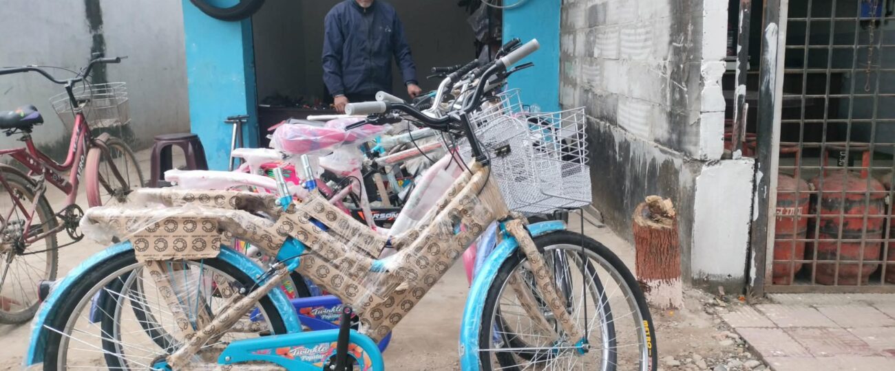 साइकल चढनेहरू दिनप्रतिदिन घट्दै