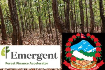 लिफ कोअलिसनलाई कार्बन बेच्ने पहिलो एसियाली देश बन्यो नेपाल, ८ अर्बको सम्झौता…