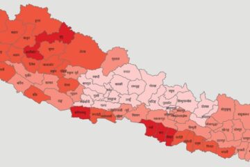 कार्यसम्पादन मूल्यांकनमा ८० अंक कटाउने स्थानीय तह ४, सबैभन्दा अब्बल अर्घाखाँचीको पाणिनि