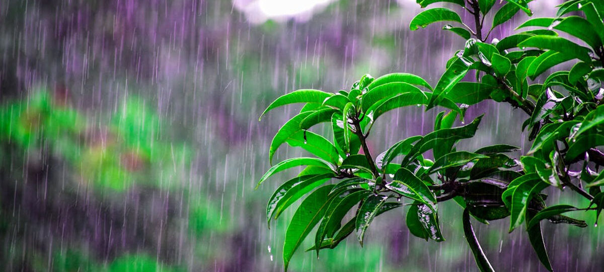 कस्तो रहला आजको मौसम ?