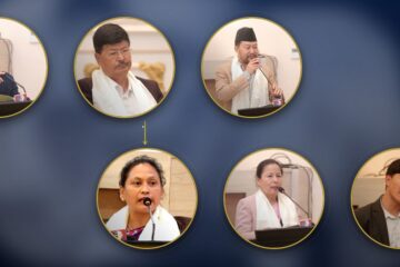 आदिवासी जनजातिको अधिकारमा सांसदको साझा प्रतिबद्धता
