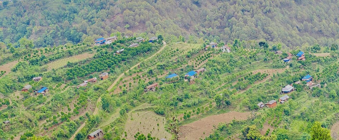 आकर्षक सुन्तला बगैँचा