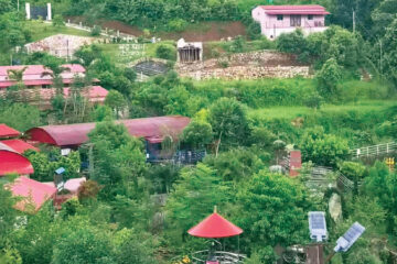 बाँझो बारी बन्यो पर्यटकीय गन्तव्य